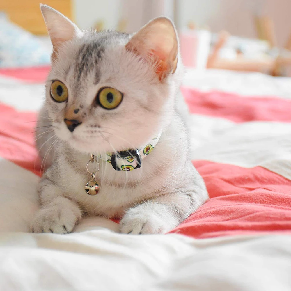 Separātiskajos Kaķu Kakla siksnas, ar Bell Izturīgu un Drošu Cute Kaķēns Apmales Drošības Regulējams Kitty Apkakles Kaķis Kucēns 7.5-11in