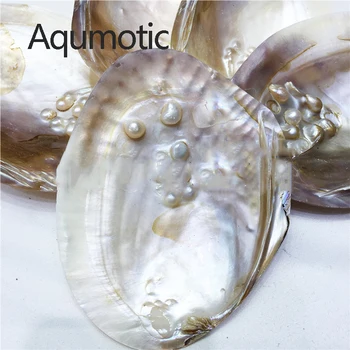 Aqumotic Īstu Pērli Mīdiju 1pc Pērles Korpusa Iekšpusē Aizcirst Fluorescences Dabas Gliemene Jūras Akvāriju Dekori Austeru Komplekts
