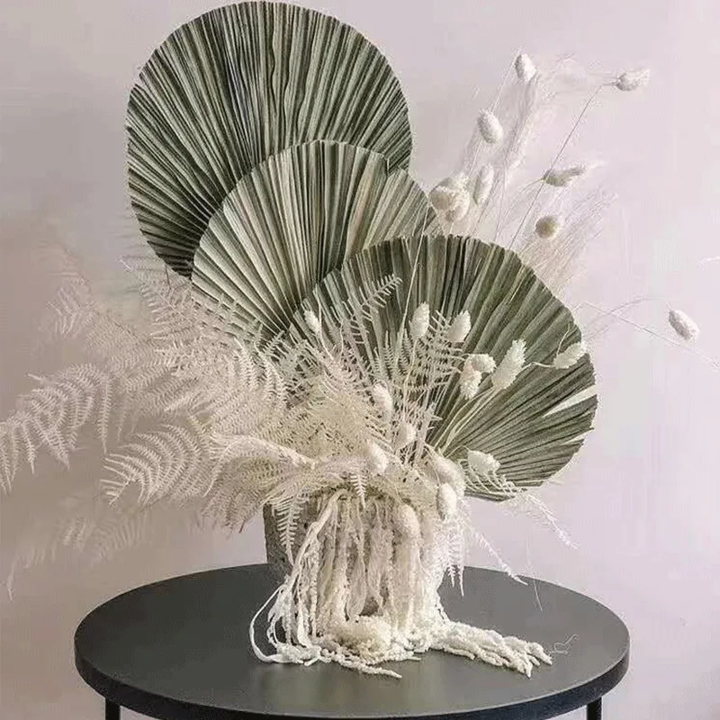 Palmu Fanu Lapu Žāvētu Ziedu Palmu Lapu Logu Uzņemšanas Grupa Art Sienas Karājas Apdare Kāzu Arkas Veidojums Sienas ziedi