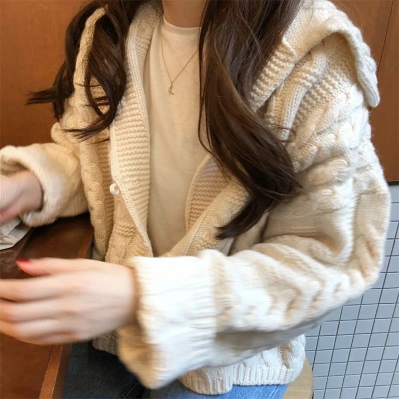 Rudens / ziemas 2020 adītu kapuci jaka sieviešu džemperis korejas īss smago vilnas svīteris vaļīgi gadījuma modes