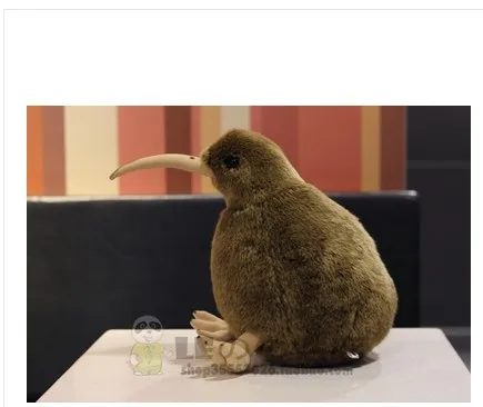 Bezmaksas piegāde 2018 jaunas Ielidošanas Kivi Putnu Plīša Rotaļlietu Simulācijas Pildījumu Dzīvnieku plīša rotaļlieta 3 izmēru izvēlēties