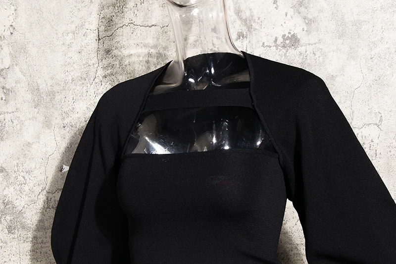 [EAM] Sieviešu Black Dobi No Temperaments T-krekls Jaunu Apaļu Kakla Ilgi Laternu Piedurknēm Modes Jūra Pavasara Rudens ir 2021. 1DC059