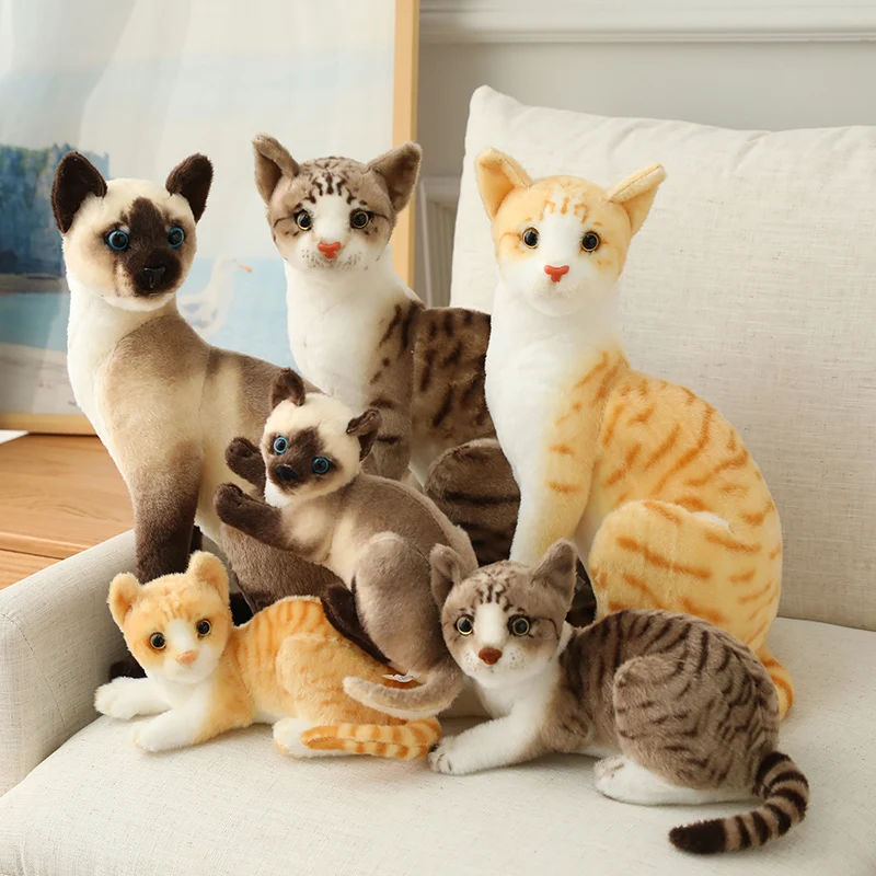 Simulācijas Amerikāņu Shorthair Pildījumu Spilgti Siāmas Kaķi Plīša Rotaļlieta Gudrs Kaķis Pet Lelle, Rotaļlietas, Mājas Dekoru, Dāvanu Meitenēm dzimšanas diena