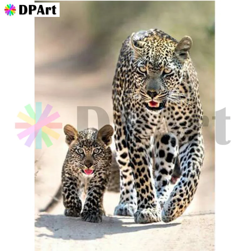 Dimanta Krāsošana Pilnu Kvadrātveida/Kārtas Urbt Dzīvnieki Leopards 5D Daimond Izšuvumu Glezniecības Rhinestone Cross Stitch Komplekts Crystal M534