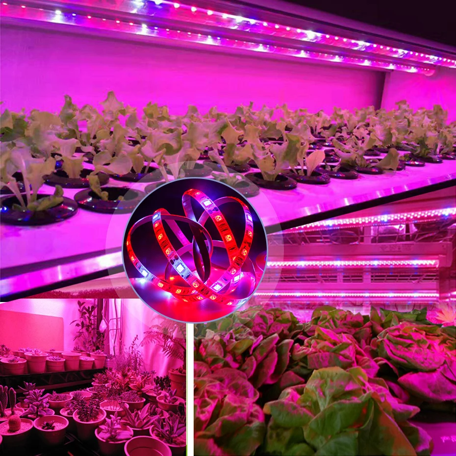 LED Augt Gaismas Pilna Spektra LED Lentes 12V 5050 sarkanā, zilā 60leds/m Fito Lampas Puķu sēklu Hidroponiskas Augu audzēšana lampas